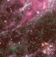 Nebuleuse tarentule